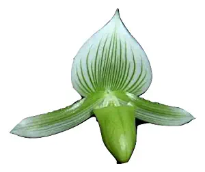 Best Lawn Mower Parts Houston