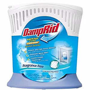 Best Remove Damp Smell From Carpet