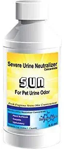 Best Remove Human Urine From Carpet