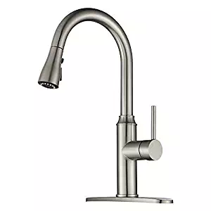 Best Kids Kitchen Sink Faucet