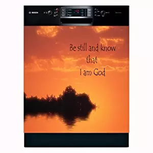 Best Custom Panel Dishwasher Installation