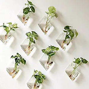 Best Indoor Vertical Garden Wall Planter