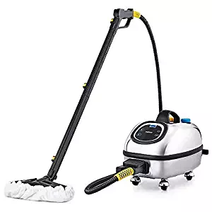 Best Used Commercial Steam Cleaner