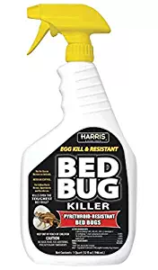 Best Bug Vacuum For Stink Bugs