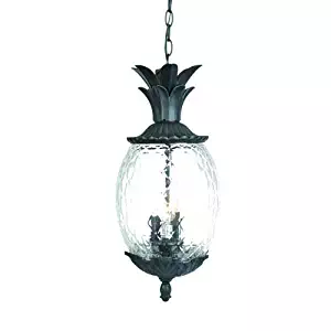 Best Outdoor Fixture Lighting Hanging