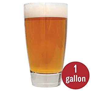 Best Home Pale Ale Beer Brewing Kit