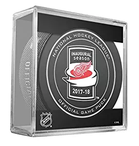 Best Red Wing Stanley Cups