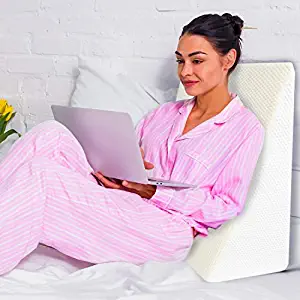 Best Brentwood Home Wedge Pillow