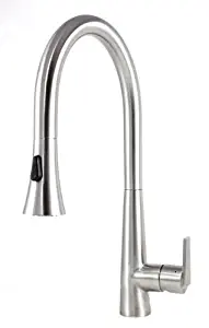 Best Ariel Sprayer Kitchen Faucet