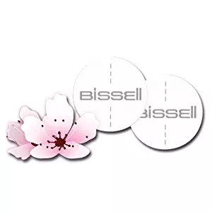 Best  Carpet Cleaning Method For Allergies