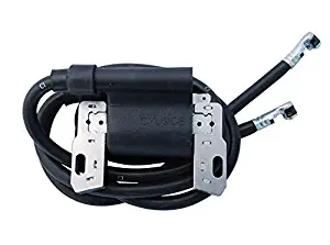 Best Briggs 460707 Lawn Mower Parts Ignition