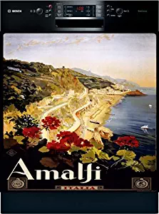 Best Custom Panel Dishwasher Installation