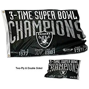 Best Philadelphia Eagles Superbowl Garden Flag
