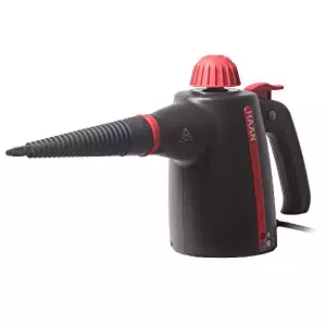 Best Hand Held Steamer To Kill Bed Bugs