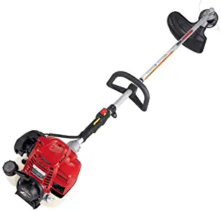 Best Lawn Edger 4 Cycle
