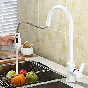 Best Price Pfister Kitchen Faucet White