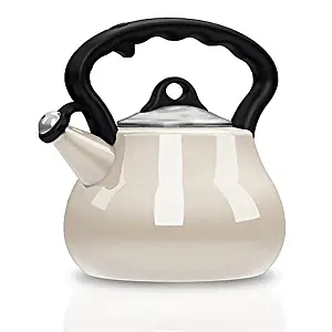 Best Tea Kettle With Blue Eyes