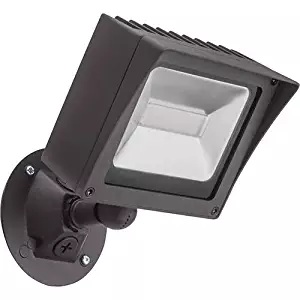 Best Lighting Outdoor Bronze Led 4000K Flood Light