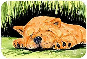 Best Carolines Treasures Kitchen /Bath Mats