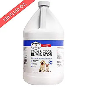 Best Remove Human Urine From Carpet