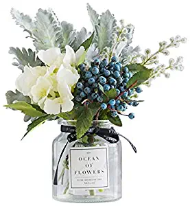 Best Home Decor Glass Plants