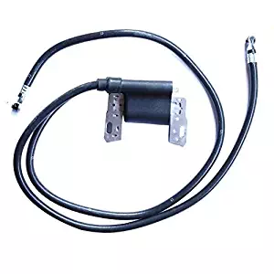 Best Briggs 460707 Lawn Mower Parts Ignition