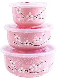 Best Signature Housewares Bowls With Lids