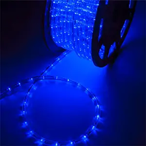 Best Outdoor Led Rope Lighting
