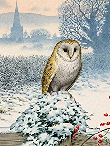 Best Garden Flag Barn