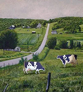 Best Custom Panel Dishwasher Installation