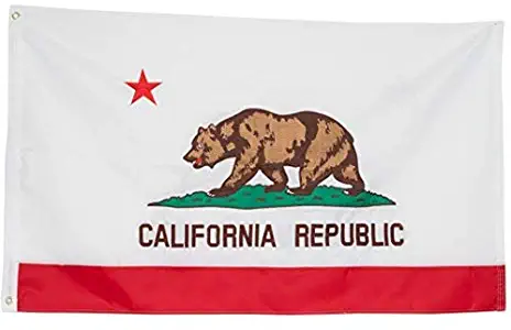 Best Kindergarten Garden Flag