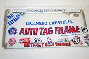 Best Red Wing Stanley Cups