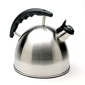 Best Whistling Tea Kettle Copper Bottom