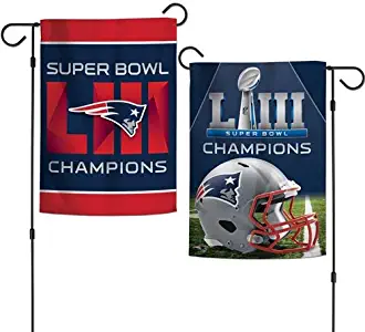 Best Philadelphia Eagles Superbowl Garden Flag