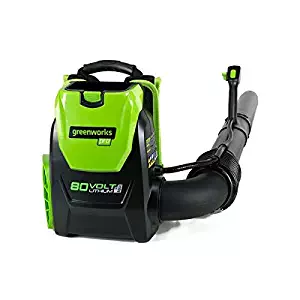 Best Greenworks Lawn Vacuum Reviews