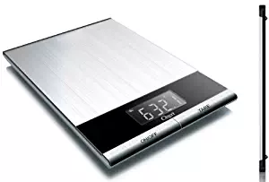 Best Kitchen Scale Ozeri Moderna