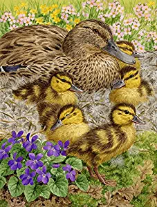 Best Small Garden Flag Duck