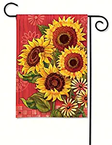 Best Garden Flag Barn