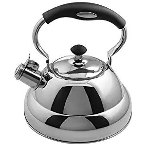 Best Tea Kettle With Blue Eyes