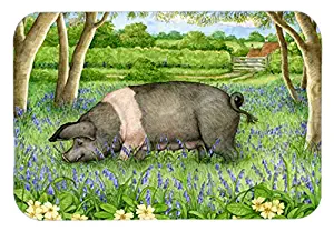 Best Carolines Treasures Kitchen /Bath Mats