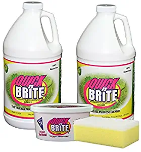 Quick N Brite 14015 All Purpose Liquid/Paste Cleaning Kit