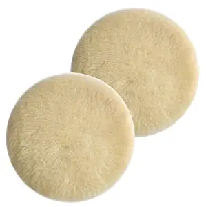 Best Porter Cable 7336 Polisher