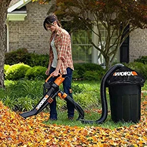 Best Home Depot Leaf Blower Vacuum Mulcher
