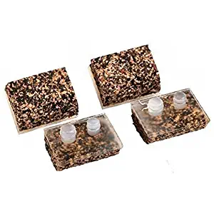 Best Hayward Pool Vacuum Feet