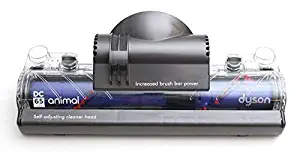 Best Dyson Dc24 Cleaner Head Motor