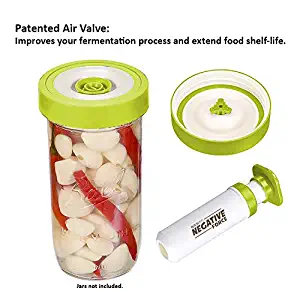 Best Mason Jar Vacuum Chamber