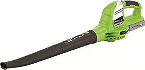 Earthwise LB20020 20-Volt Lithium Ion Cordless Electric Single Speed 1, 130 MPH, Green, Silver, Black