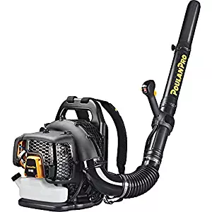Best 4 Stroke Blower Vacuum