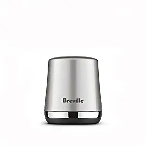 Best Breville Super Q Blender