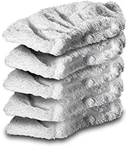 Best Steam Cleaner Karcher Sc2